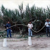 INKA GOLD FARM S.A.C. Employee Segundo Roncal Lopez.'s profile photo