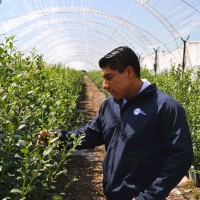 OZBLU PERU S.A.C. Employee Luis Daniel Ramos Quiroz's profile photo