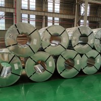 Willson Email & Phone Number