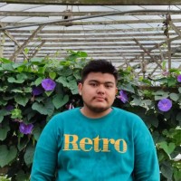 ITech System Engineering Employee Muhd Firza's profile photo