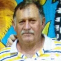 Motorist Assurance Program Employee Darci Nicolodi's profile photo