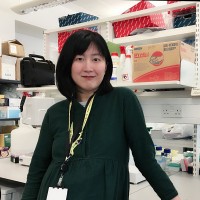 Ensocell Employee Qianxin Wu's profile photo