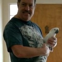 Greg O'Neill Email & Phone Number