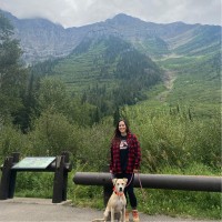 Shannon Sutton Email