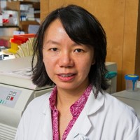 Xiaoping Qing Email & Phone Number