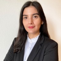 PÜSPÖK Erneuerbare Energie Employee Elanur Guelec's profile photo