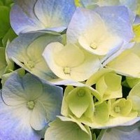 KDMK Employee Marjorie Becker's profile photo