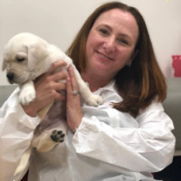 Pyper, Inc. Employee Kelly Pyper's profile photo