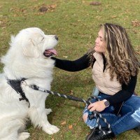 Nootie LLC Employee Katie Pistarelli's profile photo