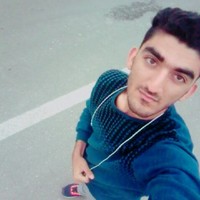 Hadi Hosseini Email