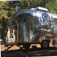 Greg Penner Email & Phone Number