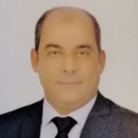 Mahmoud Galhoom Email