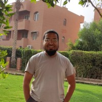 Medhat Mahfouz Email