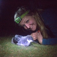 The Duchy Of Cornwall Employee Jaclyn Pearson's profile photo