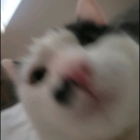 Stealth Employee Abraham Lee's profile photo