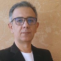 Helinus Employee Davood Motevalizadeh's profile photo