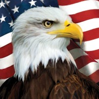 Independent Contract Recruiter Employee Bob Cope's profile photo