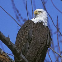 RGS Products Inc. Employee Michael Geer's profile photo