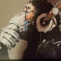 Nexus Esports Employee John Solis's profile photo