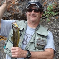 Saint Louis University Employee J. Watson's profile photo