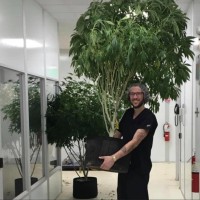 Narvona Employee Jake Carr's profile photo