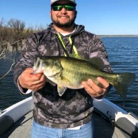 Gulfstream Services, Inc. Employee Rafael Dominguez's profile photo