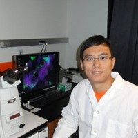 Jiaping Gu Email & Phone Number