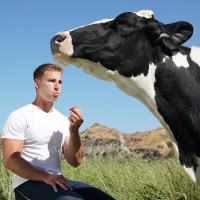 CorpseCo. Employee Daniel Katz's profile photo