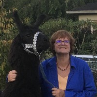 Chesapeake Medical Imaging Employee Michaele Davidson's profile photo