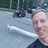 John Kominoski Email & Phone Number