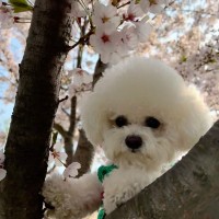 Visa Employee Charley Holt's profile photo