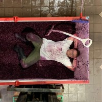 FermForge Employee Zach Bartlett's profile photo