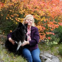 USTA Pacific Northwest Employee Julie Thompson's profile photo
