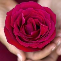Ambrosia Employee Raviteja Perala's profile photo