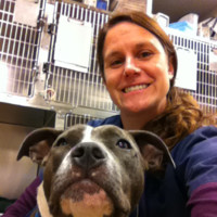 Friendship Hospital for Animals Employee Helen Haifley's profile photo