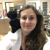 Vista Pet Hospital Employee Jessica Thompson's profile photo
