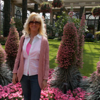 NEI Employee Mary Weddle's profile photo