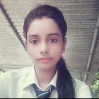 TechnoSys Employee Er. Pal's profile photo