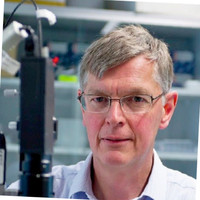 Paul Scherrer Institut PSI Employee Gebhard Schertler's profile photo