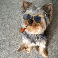 eSports Employee Jack Theceo's profile photo
