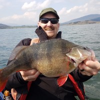 Westfraser Employee Robert Girard's profile photo