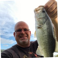 Mark Higgins Email & Phone Number