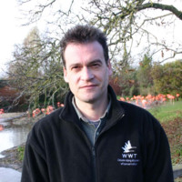 WWT (Wildfowl & Wetlands Trust) Employee Kevin Peberdy's profile photo