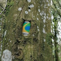 SCHUMAG AKTIENGESELLSCHAFT Employee Manfred Meyer's profile photo