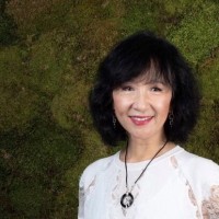 Virtusan Employee Li Wu's profile photo