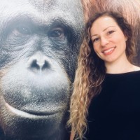 Isabelle Laumer Email