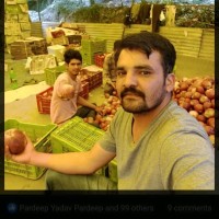 Agrowave Employee Pardeep Kumar's profile photo