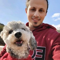 Bashar Daseh Email & Phone Number
