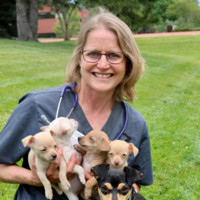Humane Society of Boulder Valley Employee Lesli Groshong's profile photo