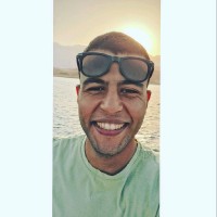 Freelance Flow Employee Ahmed Elg3brii's profile photo